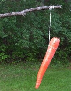 Say no to carrots!